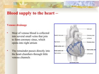 Blood supply to the heart –

Venous drainage

   Most of venous blood is collected
    into several small veins that join
    to form coronary sinus, which
    opens into right atrium

   The remainder passes directly into
    the heart chambers through little
    venous channels
 