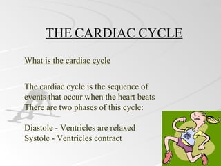 THE CARDIAC CYCLE
What is the cardiac cycle


The cardiac cycle is the sequence of
events that occur when the heart beats
There are two phases of this cycle:

Diastole - Ventricles are relaxed
Systole - Ventricles contract
 