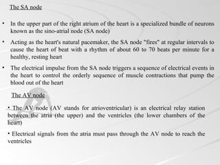The SA node

•    In the upper part of the right atrium of the heart is a specialized bundle of neurons
     known as the sino-atrial node (SA node)
•    Acting as the heart's natural pacemaker, the SA node "fires" at regular intervals to
     cause the heart of beat with a rhythm of about 60 to 70 beats per minute for a
     healthy, resting heart
•    The electrical impulse from the SA node triggers a sequence of electrical events in
     the heart to control the orderly sequence of muscle contractions that pump the
     blood out of the heart

     The AV node

    • The AV node (AV stands for atrioventricular) is an electrical relay station
    between the atria (the upper) and the ventricles (the lower chambers of the
    heart)
    • Electrical signals from the atria must pass through the AV node to reach the
    ventricles
 