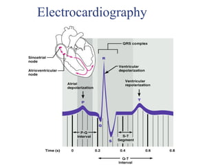Electrocardiography
 