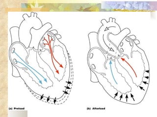 Preload and Afterload
 