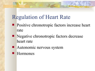 Regulation of Heart Rate
   Positive chronotropic factors increase heart
    rate
   Negative chronotropic factors decrease
    heart rate
   Autonomic nervous system
   Hormones
 