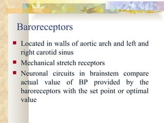 Baroreceptors
   Located in walls of aortic arch and left and
    right carotid sinus
   Mechanical stretch receptors
   Neuronal circuits in brainstem compare
    actual value of BP provided by the
    baroreceptors with the set point or optimal
    value
 
