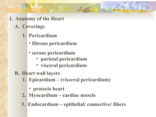 I. Anatomy of the Heart
   A. Coverings
     1. Pericardium
        • fibrous pericardium
        • serous pericardium
            • parietal pericardium
            • visceral pericardium
  B. Heart wall layers
     1. Epicardium – (visceral pericardium)
        • protects heart
     2. Myocardium – cardiac muscle
     3. Endocardium – epithelial/ connective/ fibers
 