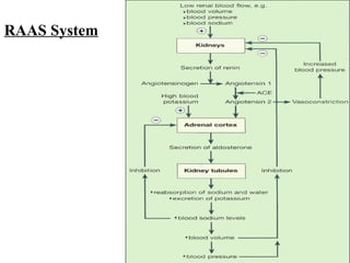 RAAS System
 