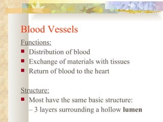 Blood Vessels
Functions:
 Distribution of blood
 Exchange of materials with tissues
 Return of blood to the heart


Structure:
 Most have the same basic structure:
   – 3 layers surrounding a hollow lumen
 