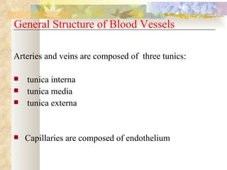 General Structure of Blood Vessels

Arteries and veins are composed of three tunics:

   tunica interna
   tunica media
   tunica externa


   Capillaries are composed of endothelium
 