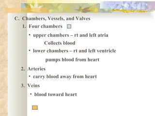 C. Chambers, Vessels, and Valves
   1. Four chambers
     • upper chambers – rt and left atria
           Collects blood
     • lower chambers – rt and left ventricle
             pumps blood from heart
  2. Arteries
     • carry blood away from heart
  3. Veins
      • blood toward heart
 