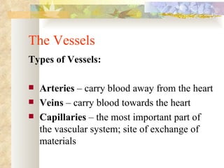 The Vessels
Types of Vessels:

   Arteries – carry blood away from the heart
   Veins – carry blood towards the heart
   Capillaries – the most important part of
    the vascular system; site of exchange of
    materials
 