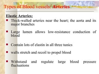 Types of Blood vessels: Arteries
 Elastic Arteries:
  Thick-walled arteries near the heart; the aorta and its
    major branches
    Large lumen allows low-resistance conduction of
     blood

    Contain lots of elastin in all three tunics
    walls stretch and recoil to propel blood

    Withstand and        regulate   large    blood   pressure
     fluctuations
 