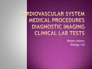 Cardiovascular SystemMedical ProceduresDiagnostic imagingclinical lab tests  Robert Adams	 Biology 120  
