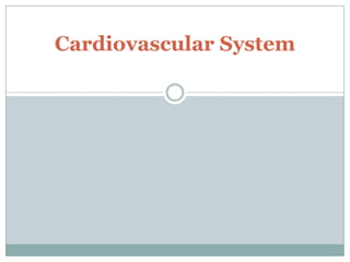 Cardiovascular System
 