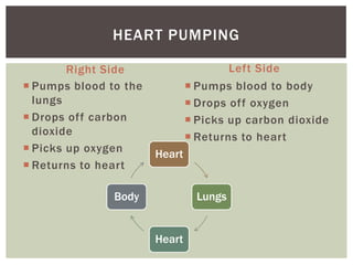 HEART PUMPING

        Right Side                       Left Side
 Pumps blood to the            Pumps blood to body
  lungs                         Drops off oxygen
 Drops off carbon              Picks up carbon dioxide
  dioxide                       Returns to heart
 Picks up oxygen      Heart
 Returns to heart

               Body              Lungs


                       Heart
 