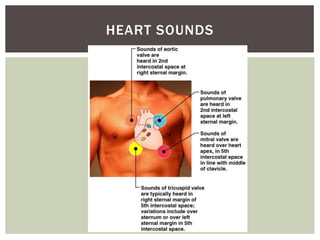 HEART SOUNDS
 