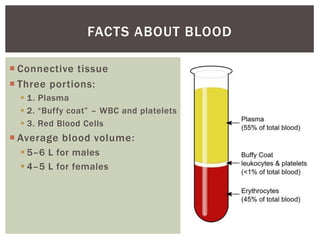 FACTS ABOUT BLOOD

 Connective tissue
 Three portions:
   1. Plasma
   2. “Buffy coat” – WBC and platelets
   3. Red Blood Cells
 Average blood volume:
   5–6 L for males
   4–5 L for females
 