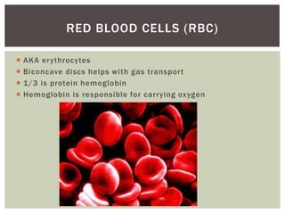 RED BLOOD CELLS (RBC)

   AKA erythrocytes
   Biconcave discs helps with gas transport
   1/3 is protein hemoglobin
   Hemoglobin is responsible for carrying oxygen
 