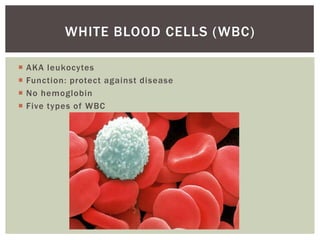 WHITE BLOOD CELLS (WBC)

   AKA leukocytes
   Function: protect against disease
   No hemoglobin
   Five types of WBC
 