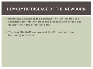 HEMOLY TIC DISEASE OF THE NEWBORN

 Hemolytic disease of the newborn – Rh + antibodies of a
  sensitized Rh – mother cross the placenta and attack and
  destroy the RBCs of an Rh + baby

 The drug RhoGAM can prevent the Rh – mother from
  becoming sensitized
 