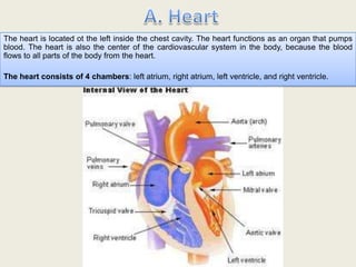Cardiovascular system | PPTX