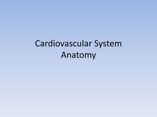 Cardiovascular System
Anatomy

 