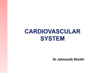 CARDIOVASCULAR
SYSTEM
Dr Jahanzaib Sheikh
 