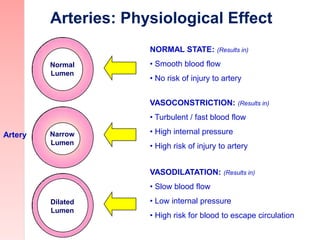 Arteries: Physiological Effect
NORMAL STATE: (Results in)
• Smooth blood flow
• No risk of injury to artery
VASOCONSTRICTI...
