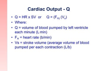 Cardiac Output - Q
• Q = HR x SV or Q = (FH) (Vs)
• Where:
• Q = volume of blood pumped by left ventricle
each minute (L.m...