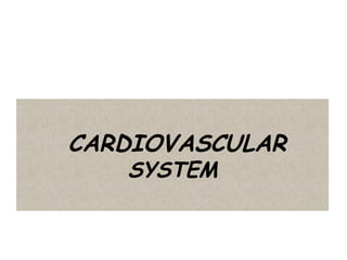 CARDIOVASCULAR
SYSTEM
 