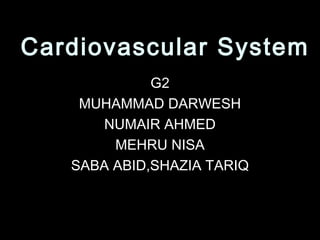 Cardiovascular SystemCardiovascular System
G2G2
MUHAMMAD DARWESHMUHAMMAD DARWESH
NUMAIR AHMEDNUMAIR AHMED
MEHRU NISAMEHRU NISA
SABA ABID,SHAZIA TARIQSABA ABID,SHAZIA TARIQ
 