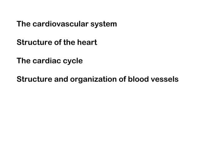 Cardiovascular System Ppt Ppt Cardiovascular System Ppt Ppt
