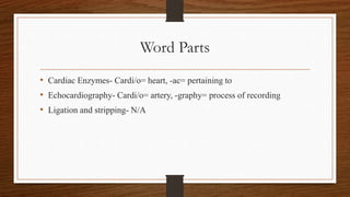 Cardiovascular system | PPT