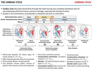 THE CARDIAC CYCLE
• Cardiac cycle describes blood flow through the heart during one complete heartbeat with all
accompanying electrical events, pressure changes, opening and closing of valves
• Systole is the contraction, and diastole is relaxation (of atria or ventricles)
• Mid-to-late diastole; AV valves open; SL
valves closed; Pa > Pv < Pvessel
• 80% of blood passively flows into ventricles
• Atrial systole delivers remaining 20%
• End diastolic volume (EDV): volume of
blood in the ventricle at the end of diastole
• Atria relax; ventricles contract
• Isovolumetric contraction : all valves
closed; Pa < Pv < Pvessel
• Ejection : AV valves closed, SL valves
open; Pa < Pv > Pvessel
• End systolic volume (ESV): volume of
blood in the ventricle after systole
• Ventricles relax
• Isovolumetric relaxation: all
valves closed; Pa < Pv < Pvessel
• Backflow of blood in aorta →
dicrotic notch (spike in BP)
• Goes back to ventricular filling
CARDIAC CYCLE
 