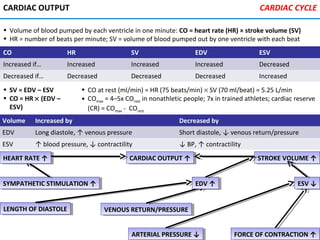 CARDIAC OUTPUT
• Volume of blood pumped by each ventricle in one minute: CO = heart rate (HR) × stroke volume (SV)
• HR = number of beats per minute; SV = volume of blood pumped out by one ventricle with each beat
CARDIAC OUTPUT ↑CARDIAC OUTPUT ↑
ARTERIAL PRESSURE ↓ARTERIAL PRESSURE ↓ FORCE OF CONTRACTION ↑FORCE OF CONTRACTION ↑
LENGTH OF DIASTOLELENGTH OF DIASTOLE VENOUS RETURN/PRESSUREVENOUS RETURN/PRESSURE
SYMPATHETIC STIMULATION ↑SYMPATHETIC STIMULATION ↑
HEART RATE ↑HEART RATE ↑ STROKE VOLUME ↑STROKE VOLUME ↑
EDV ↑EDV ↑ ESV ↓ESV ↓
CARDIAC CYCLE
CO HR SV EDV ESV
Increased if… Increased Increased Increased Decreased
Decreased if… Decreased Decreased Decreased Increased
• SV = EDV – ESV
• CO = HR × (EDV –
ESV)
• CO at rest (ml/min) = HR (75 beats/min) × SV (70 ml/beat) = 5.25 L/min
• COmax = 4–5x COrest in nonathletic people; 7x in trained athletes; cardiac reserve
(CR) = COmax - COrest
Volume Increased by Decreased by
EDV Long diastole, ↑ venous pressure Short diastole, ↓ venous return/pressure
ESV ↑ blood pressure, ↓ contractility ↓ BP, ↑ contractility
 