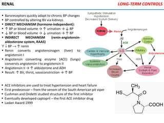 RENAL
• Baroreceptors quickly adapt to chronic BP changes
• BP controlled by altering BV via kidneys
• DIRECT MECHANISM (hormone-independent):
• ↑ BP or blood volume → ↑ urination → ↓ BP
• ↓ BP or blood volume → ↓ urination → ↑ BP
• INDIRECT MECHANISM (renin-angiotensin-
aldosterone system, RAAS)
∀ ↓ BP → ↑ renin
• Renin converts angiotensinogen (liver) to
angiotensin I
• Angiotensin converting enzyme (ACE) (lungs)
conversts angiotensin I to angiotensin II
• Angiotensin II → ↑ aldosterone and ADH
• Result: ↑ BV, thirst, vasoconstriction → ↑ BP
LONG-TERM CONTROLS
• ACE inhibitors are used to treat hypertension and heart failure
• First predecessor – from the venom of the South American pit viper
• Cushman and Ondetti studied structure of the first inhibitor
• Eventually developed captopril – the first ACE inhibitor drug
• Lasker Award 1999
 