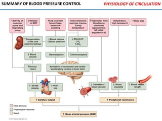 SUMMARY OF BLOOD PRESSURE CONTROL PHYSIOLOGY OF CIRCULATION
 