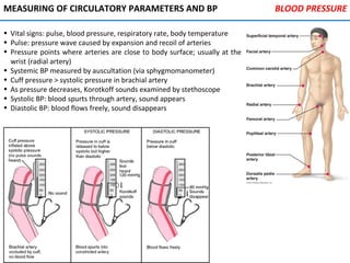 MEASURING OF CIRCULATORY PARAMETERS AND BP
• Vital signs: pulse, blood pressure, respiratory rate, body temperature
• Pulse: pressure wave caused by expansion and recoil of arteries
• Pressure points where arteries are close to body surface; usually at the
wrist (radial artery)
• Systemic BP measured by auscultation (via sphygmomanometer)
• Cuff pressure > systolic pressure in brachial artery
• As pressure decreases, Korotkoff sounds examined by stethoscope
• Systolic BP: blood spurts through artery, sound appears
• Diastolic BP: blood flows freely, sound disappears
BLOOD PRESSURE
 