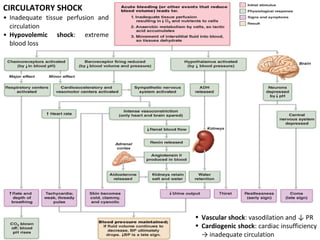 Circulatory Shock
• Inadequate tissue perfusion and
circulation
• Hypovolemic shock: extreme
blood loss
CIRCULATORY SHOCK
• Vascular shock: vasodilation and ↓ PR
• Cardiogenic shock: cardiac insufficiency
→ inadequate circulation
 