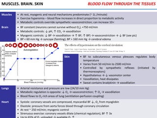 MUSCLES. BRAIN. SKIN
Muscles • At rest, myogenic and neural mechanisms predominate (~ 1L /minute)
• Exercise hyperemia – blood flow increases in direct proportion to metabolic activity
• Metabolic controls override sympathetic vasoconstriction; can increase 10×
Brain • BF constant (neurons cannot survive without O2), ≈750 ml/min
• Metabolic controls: ↓ pH, ↑ CO2 → vasodilation
• Myogenic controls: ↓ BP → vasodilation → ↑ BF; ↑ BP) → vasoconstriction → ↓ BF (see pic)
• BP < 60 mm Hg → syncope (fainting); BP > 160 mm Hg → cerebral edema
Skin • BF to subcutaneous venous plexuses regulates body
temperature
• Varies from 50 ml/min to 2500 ml/min
• Controlled by sympathetic reflexes (initiated by
thermoreceptors)
• Hypothalamus → ↓ vasomotor center
• Vasodilation, heat dissipates
• Sweat contains bradykinin → vasodilation
Lungs • Arterial resistance and pressure are low (24/10 mm Hg)
• Metabolic regulation is opposite: ↓ O2 → vasoconstriction; ↑ O2 → vasodilation
• Blood flows to O2-rich areas of lung (ventilation-perfusion coupling)
Heart • Systole: coronary vessels are compressed, myocardial BF ↓, O2 from myoglobin
• Diastole: pressure from aorta forces blood through coronary circulation
• At rest ~ 250 ml/min; myogenic control
• Strenuous exercise: coronary vessels dilate (chemical regulation), BF ↑ 3x
BLOOD FLOW THROUGH THE TISSUES
 