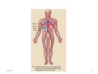 Cardiovascular system | PPTX