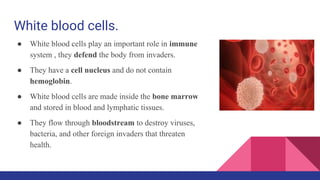 White blood cells.
● White blood cells play an important role in immune
system , they defend the body from invaders.
● They have a cell nucleus and do not contain
hemoglobin.
● White blood cells are made inside the bone marrow
and stored in blood and lymphatic tissues.
● They flow through bloodstream to destroy viruses,
bacteria, and other foreign invaders that threaten
health.
 