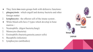 ● They form two main groups both with defensive functions:
1. phagocytosis : which engulf and destroy bacteria and other
foreign matter
2. lymphocytes : the effector cell of the imune system .
● White blood cells have 5 types which develop in bone
marrow :
1. Neutrophills. (digest bacteria,fungi)
2. Monocytes (bacteria)
3. Eosinophills (bacteria,parasite,cancer cells)
4. Basophills (infection)
5. lymphocytes (antibodies)
 