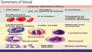 Summary of blood
 