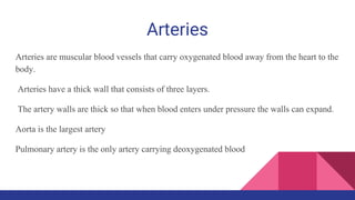 Arteries
Arteries are muscular blood vessels that carry oxygenated blood away from the heart to the
body.
Arteries have a thick wall that consists of three layers.
The artery walls are thick so that when blood enters under pressure the walls can expand.
Aorta is the largest artery
Pulmonary artery is the only artery carrying deoxygenated blood
 