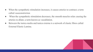 ● When the sympathetic stimulation increases, it causes arteries to contract; a term
called vasoconstriction
● When the sympathetic stimulation decreases, the smooth muscles relax causing the
arteries to dilate; a term known as vasodilation.
● Between the tunica media and tunica externa is a network of elastic fibres called
External Elastic Lamina.
 