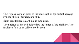 This type is found in areas of the body such as the central nervous
system, skeletal muscles, and skin.
Brain capillaries are continuous capillaries.
The nucleus of one cell bulges into the lumen of the capillary. The
nucleus of the other cell cannot be seen.
 