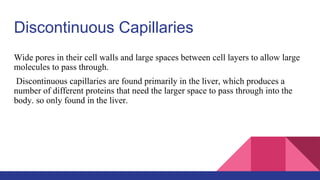 Discontinuous Capillaries
Wide pores in their cell walls and large spaces between cell layers to allow large
molecules to pass through.
Discontinuous capillaries are found primarily in the liver, which produces a
number of different proteins that need the larger space to pass through into the
body. so only found in the liver.
 