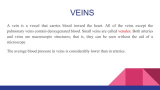 A vein is a vessel that carries blood toward the heart. All of the veins except the
pulmonary veins contain deoxygenated blood. Small veins are called venules. Both arteries
and veins are macroscopic structures; that is, they can be seen without the aid of a
microscope
The average blood pressure in veins is considerably lower than in arteries.
VEINS
 