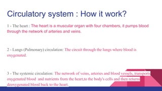 Circulatory system : How it work?
1 - The heart : The heart is a muscular organ with four chambers, it pumps blood
through the network of arteries and veins.
2 - Lungs (Pulmonary) circulation: The circuit through the lungs where blood is
oxygenated.
3 - The systemic circulation: The network of veins, arteries and blood vessels, transports
oxygenated blood and nutrients from the heart,to the body's cells and then returns
deoxygenated blood back to the heart.
 