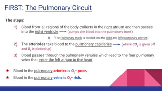 FIRST: The Pulmonary Circuit
The steps:
1) Blood from all regions of the body collects in the right atrium and then passes
into the right ventricle (pumps the blood into the pulmonary trunk)
i) “The Pulmonary trunk is divided into the right and left pulmonary arteries”.
2) The arterioles take blood to the pulmonary capillaries (where CO2
is given off
and O2
is picked up)
3) Blood passes through the pulmonary venules which lead to the four pulmonary
veins that enter the left atrium in the heart.
★ Blood in the pulmonary arteries is O2
- poor.
★ Blood in the pulmonary veins is O2
- rich.
 