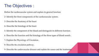 Cardiovascular system Slide 2